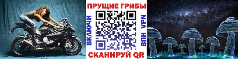 Псилоцибиновые грибы MAGIC MUSHROOMS Духовщина