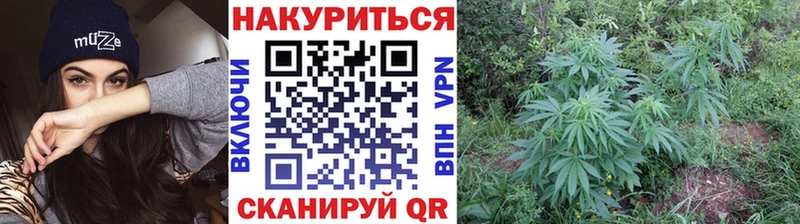 Канабис гибрид  Духовщина 